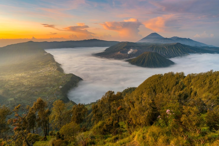 Bromo